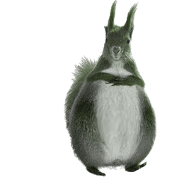 �����