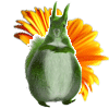 �����