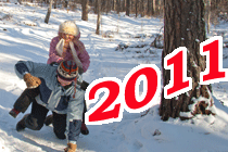 2010 ���