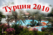 2010 ���