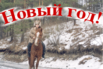 2008 ���